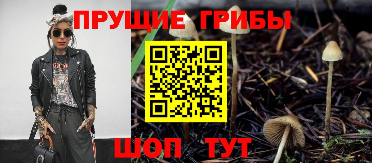 Галлюциногенные грибы мицелий  Вход с VPN  Старая Русса  Галлюциногенные грибы GOLDEN TEACHER 